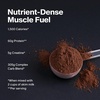 image:imageMuscleTech High Protein Mass Gainer for Men amp Women  Protein Powder Shakes for Weight Gain Muscle Building amp Recovery with Creatine Monohydrate  Chocolate Fudge Brownie 515 PoundVanilla Milkshake