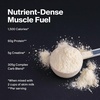 image:imageMuscleTech High Protein Mass Gainer for Men amp Women  Protein Powder Shakes for Weight Gain Muscle Building amp Recovery with Creatine Monohydrate  Chocolate Fudge Brownie 515 PoundChocolate Fudge Brownie