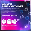 image:imageMuscleTech Pre Workout Powder EuphoriQ Pre Workout Smart Pre Workout Powder for Men amp Women Caffeine Metabolite Fueled with Paraxanthine Yuzu Lemonade 20 Servings