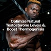 image:imageMuscleTech Thermogenic Testosterone Booster for Men AlphaTest Thermo  TBoost Mens Supplement with Tribulus Terrestris  Male Gym Workout Supplements for Muscle Growth Stamina amp Energy  90 Pills90 Count Pack of 1